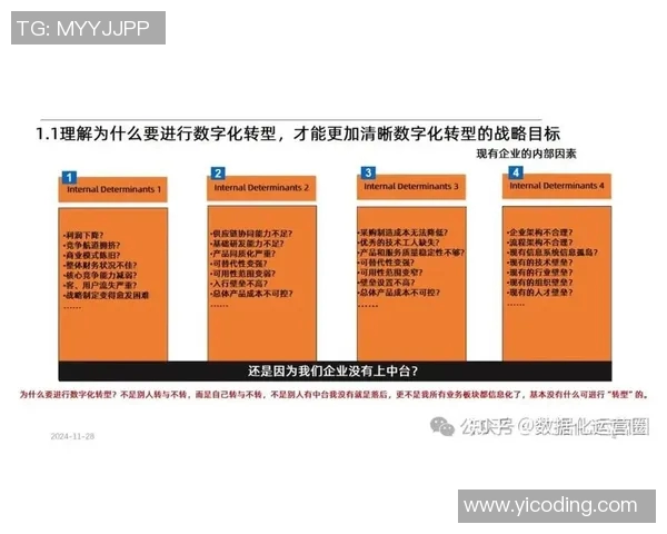 互联网信息时代下数字化转型对企业发展的深远影响与挑战分析